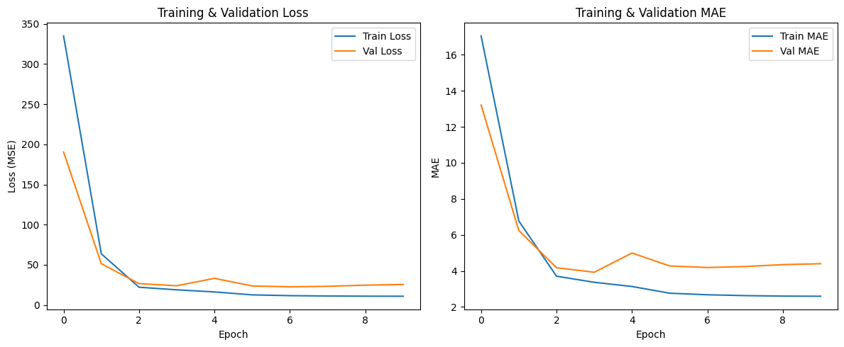 Training Loss Curve