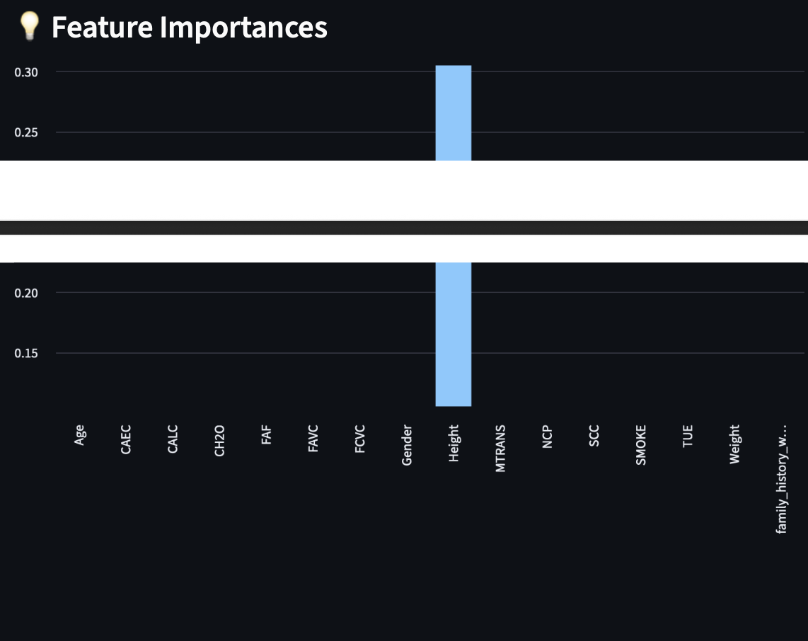 Feature Importance Visualization